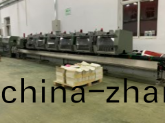 全自動瑞士天馬騎訂龍聯動線